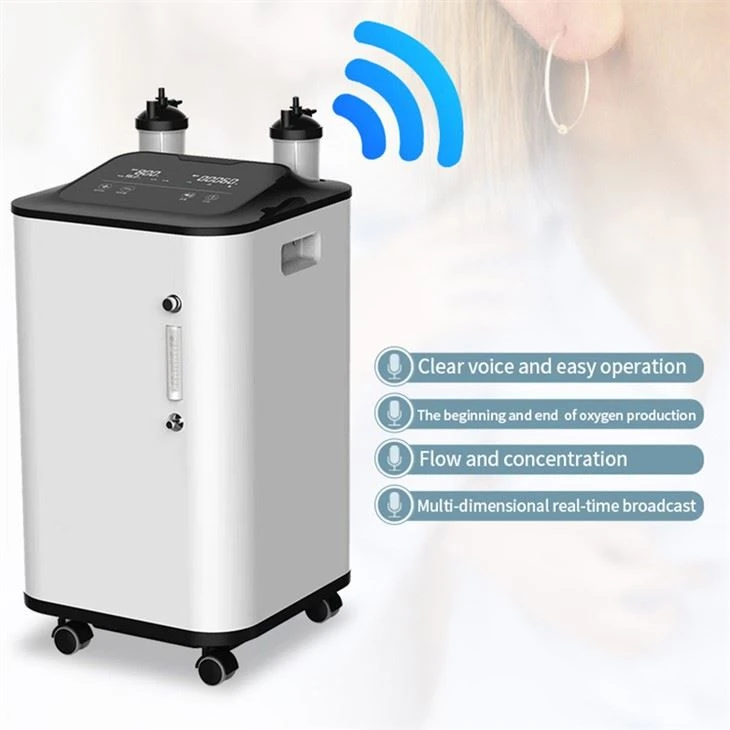 Portable Oxygen Generator